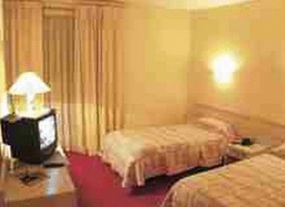 Le Central Peyrehorade Room photo